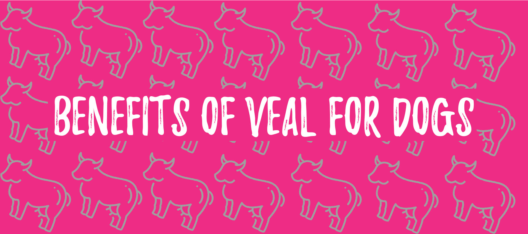 can dogs eat veal meat