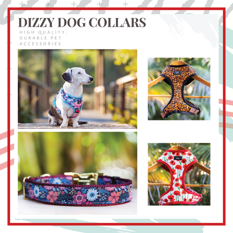 Dizzy Dog Collar Co Discount Code