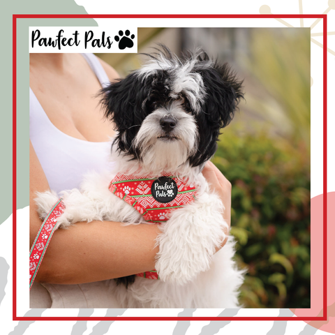 PawFect Pals Discount Code