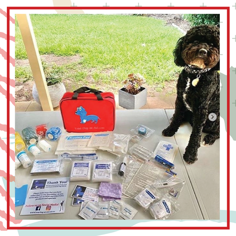 TOTAL DOG 1ST AID DISCOUNT CODE