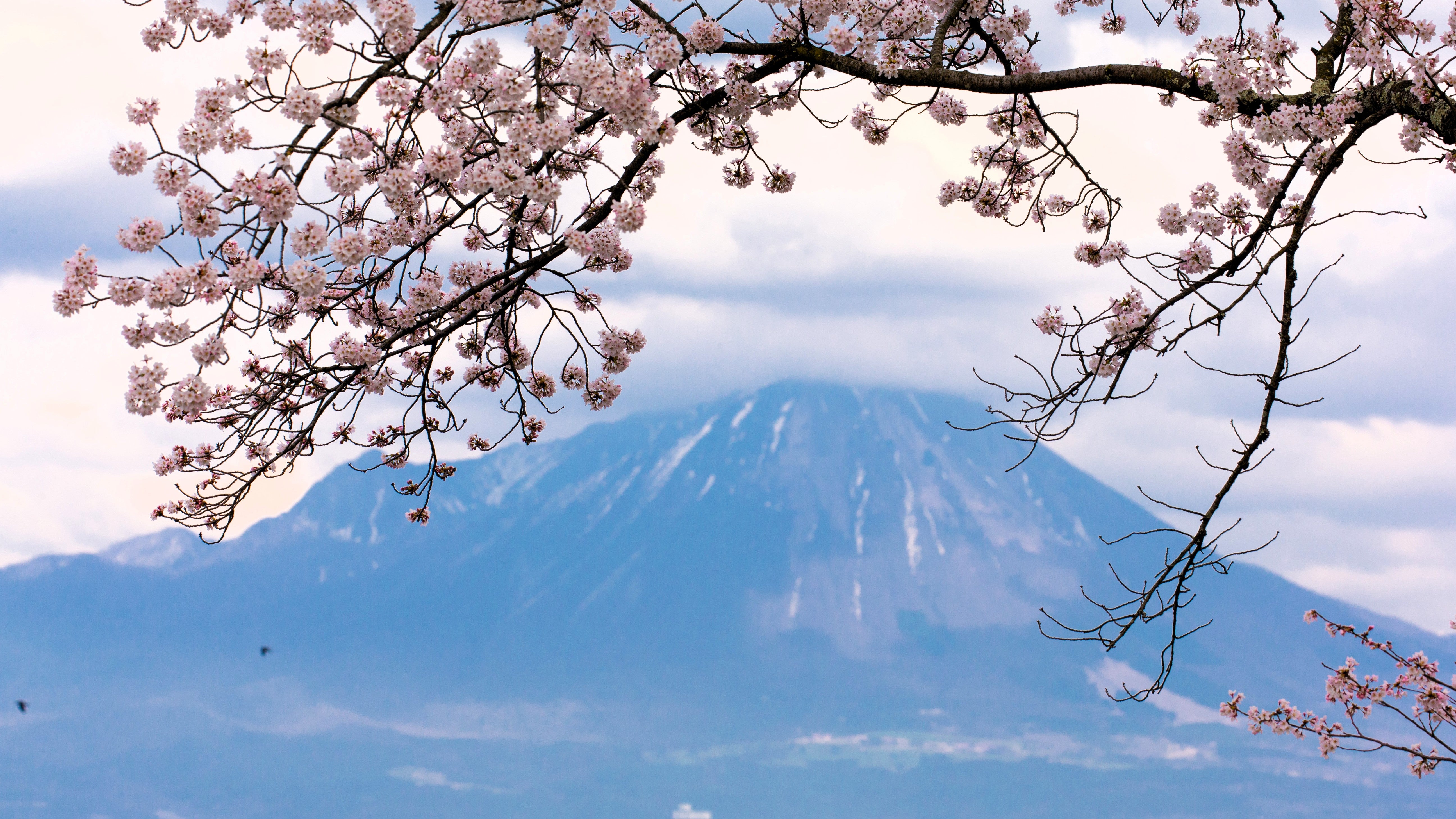 Wecreate Japan
