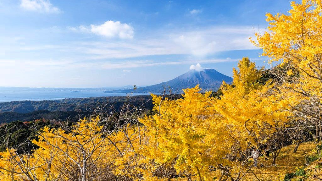 Wecreate Japan