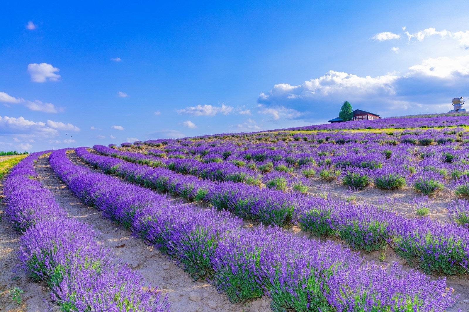 hokkaido