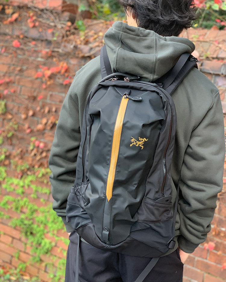 アークテリクス ARC'TERYX) ARRO22 バックパック