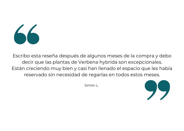 Sottotitolo (3).png__PID:37ddb2c7-90b3-4109-8c71-47d5004ef44c