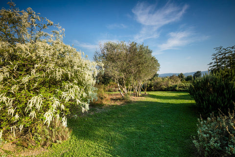 consigli estate ecologica