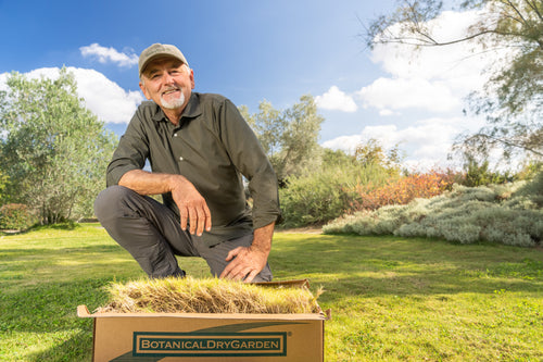 Quale prato scegliere per il tuo giardino?