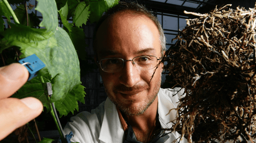 Stefano Mancuso a BotanicalDryGarden by Night 2021