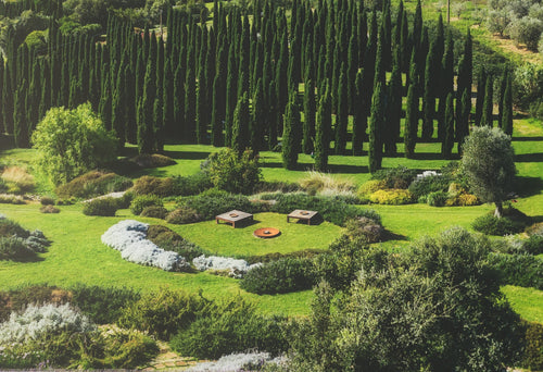 Dry Garden: giardino ecosostenibile e chic - Fasolipiante Shop