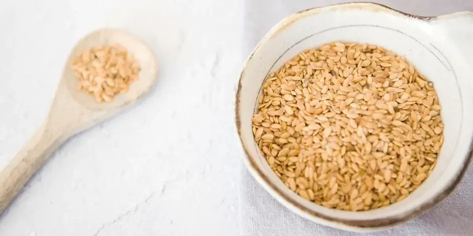 Photo of a ceramic pot full of Golden Linseed.