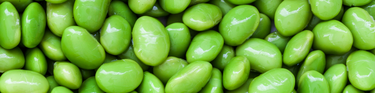 Close up image of edamame beans.