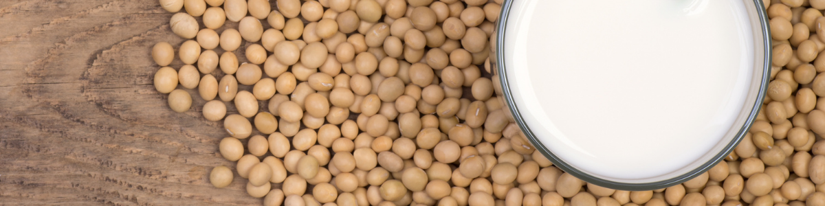 Photograph of soybeans and a glass of soy yoghurt.