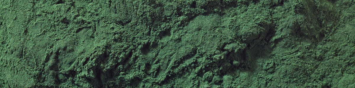 Spirulina.