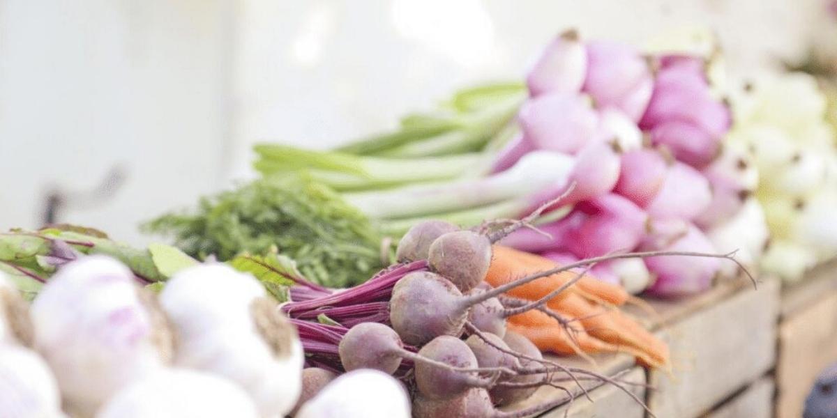 Variety of root vegetables