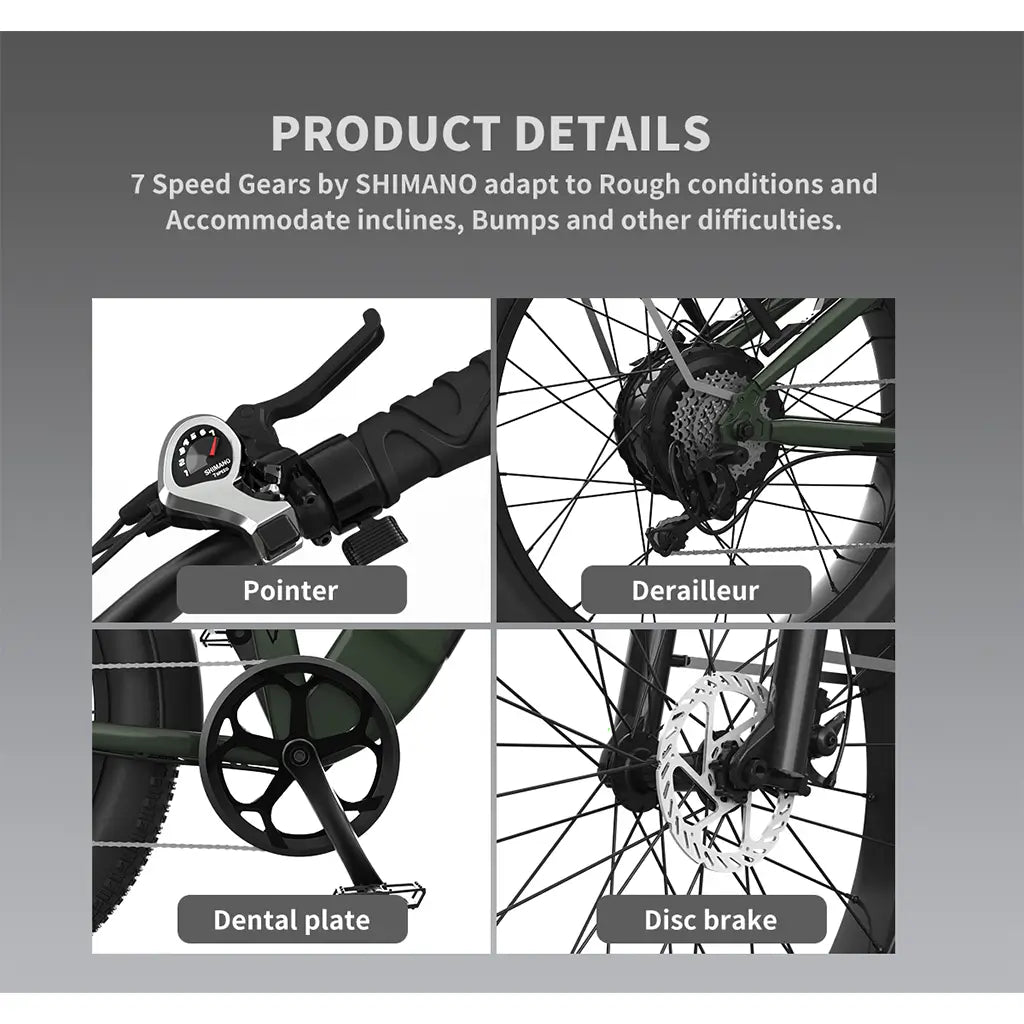 Aostirmotor King 1000W 52V Step Over All Terrain Fat Tire Mountain Electric Bike