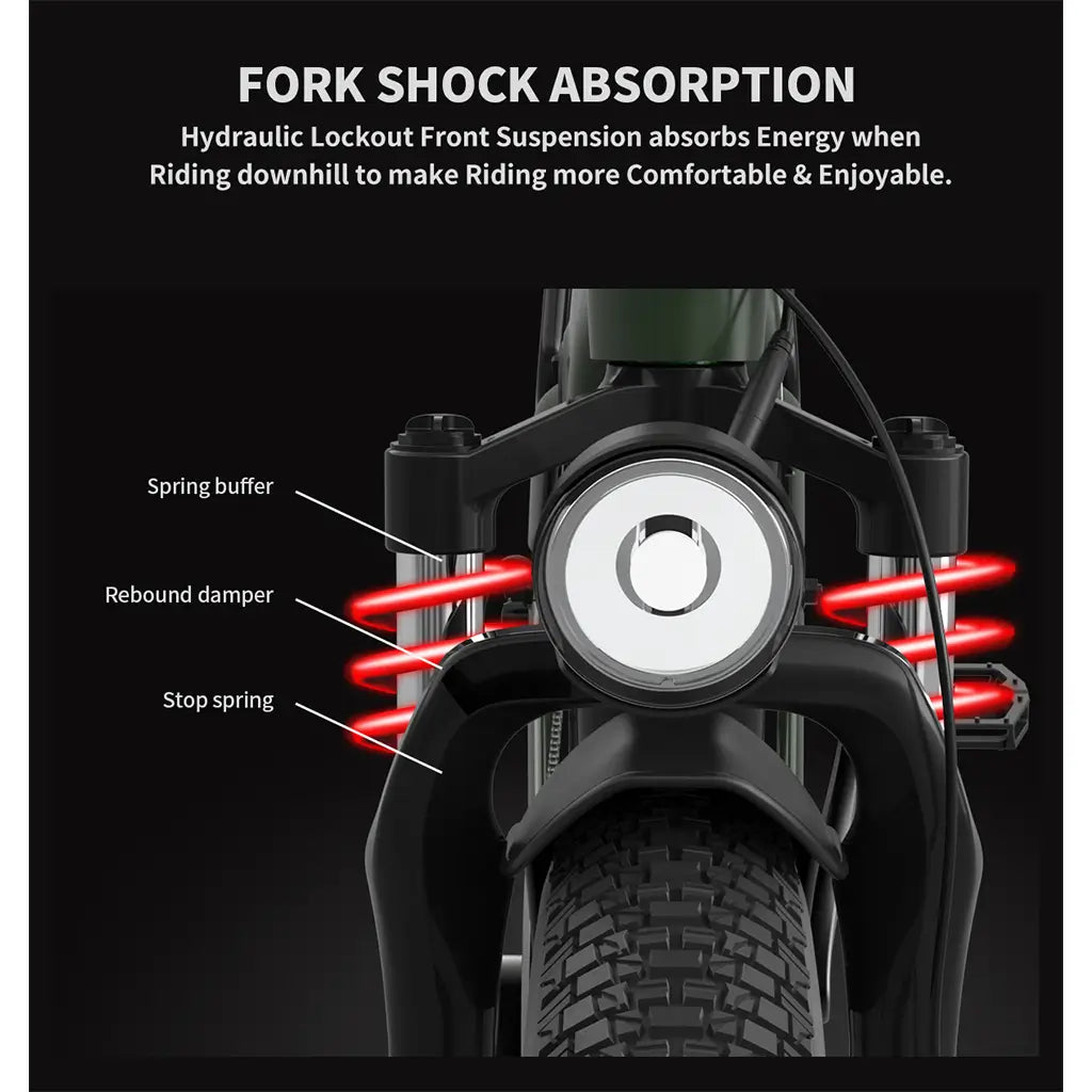 Aostirmotor King 1000W 52V Step Over All Terrain Fat Tire Mountain Electric Bike