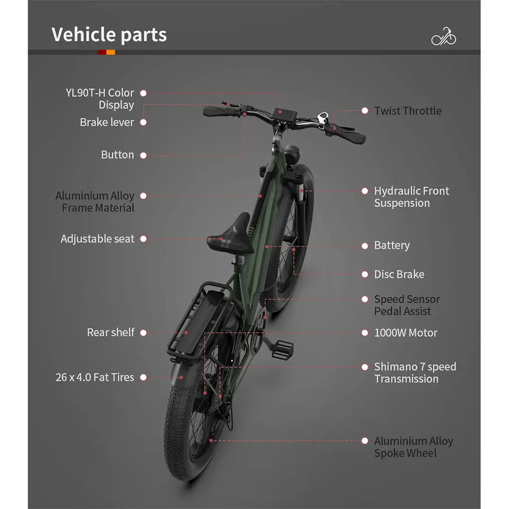 Aostirmotor King 1000W 52V Step Over All Terrain Fat Tire Mountain Electric Bike