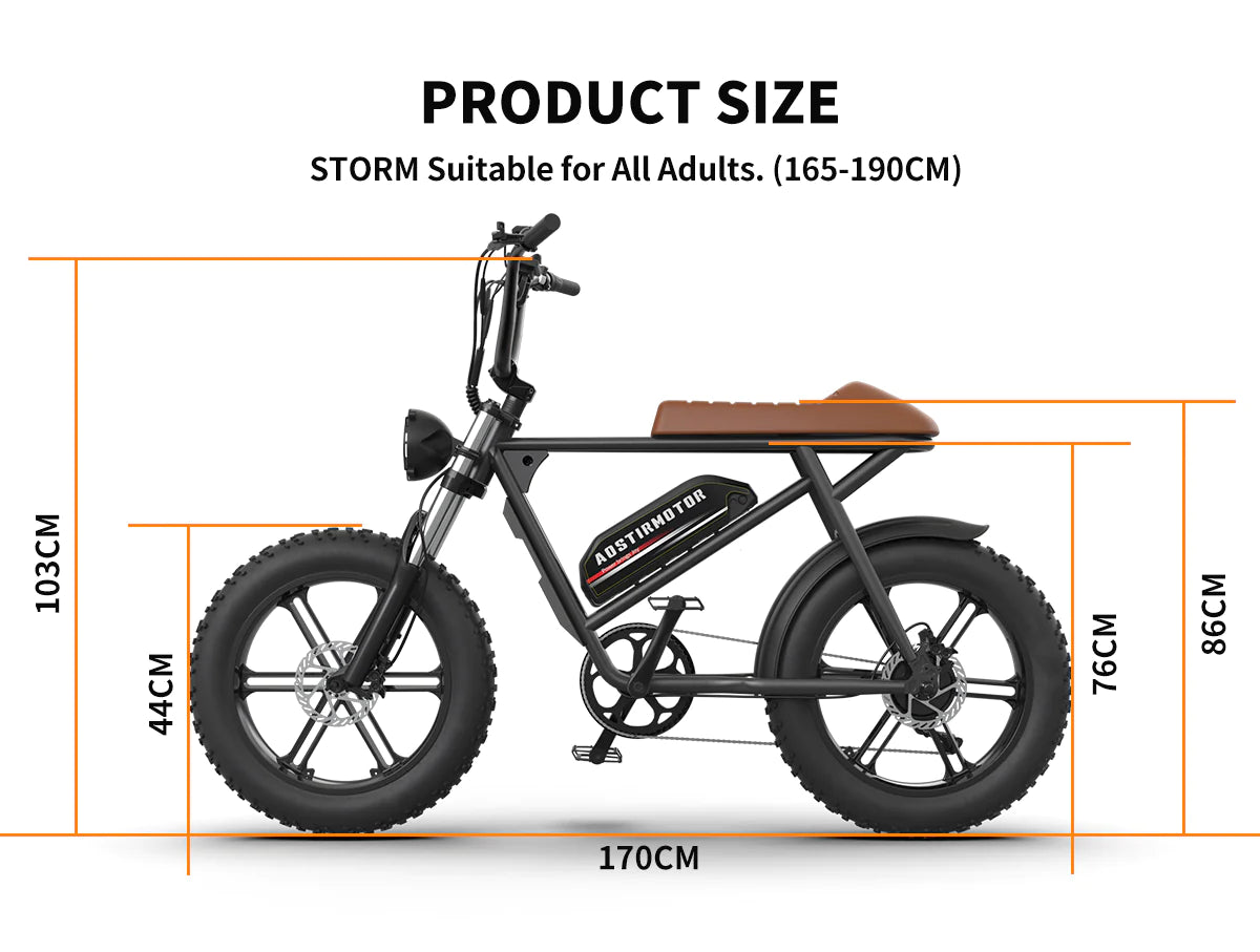 Aostirmotor Storm 750W 48V Fat Tire Electric Bike