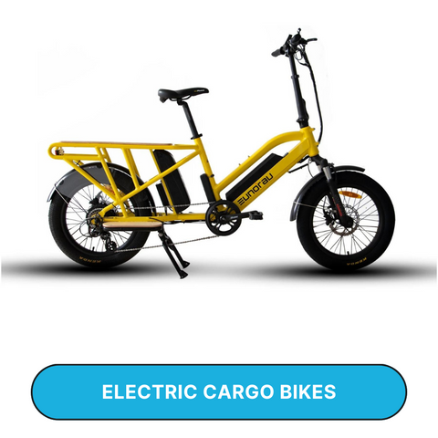 Electric Cargo Bikes Zoom Electric Bikes