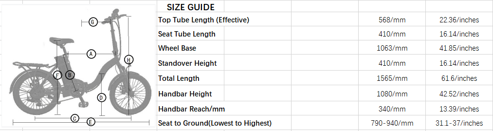 Ecotric Starfish Size Chart Guide