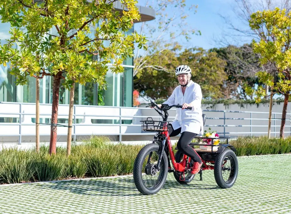 Emojo Bison Pro Folding Electric Trike 750W 48V