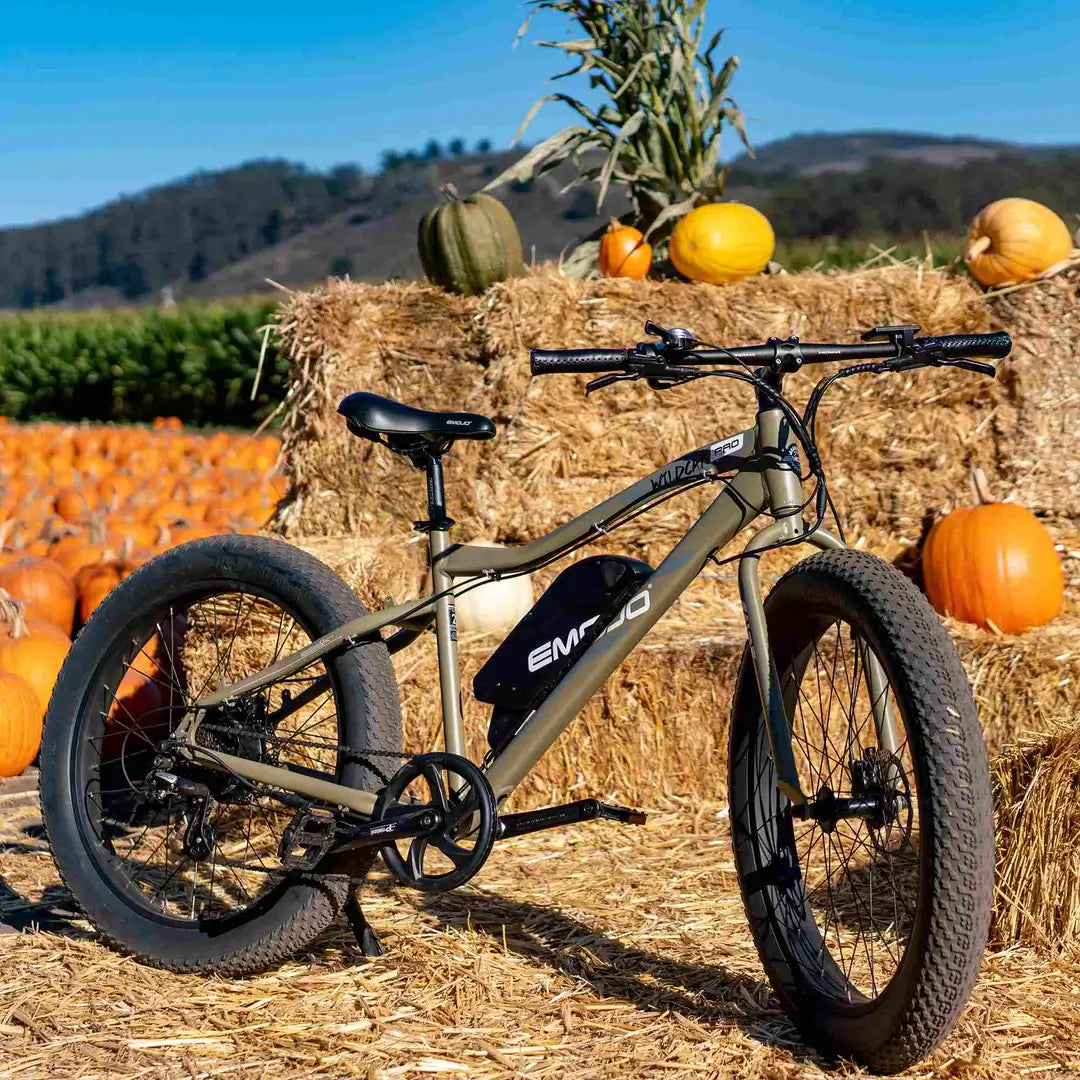 Emojo Wildcat Pro 750W/ 48V/ Mountain Electric Bike