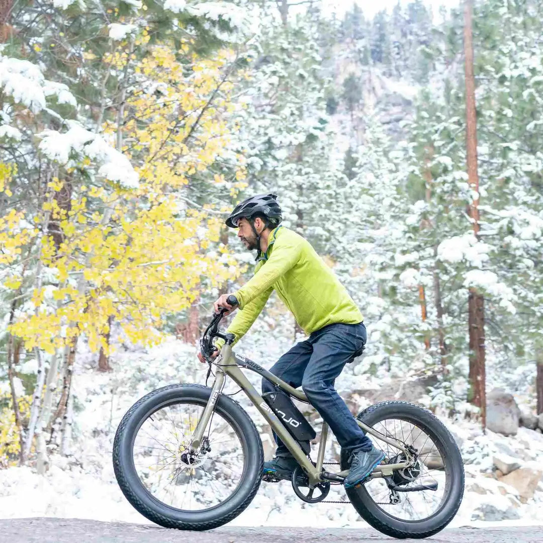 Emojo Wildcat Pro 750W/ 48V/ Mountain Electric Bike