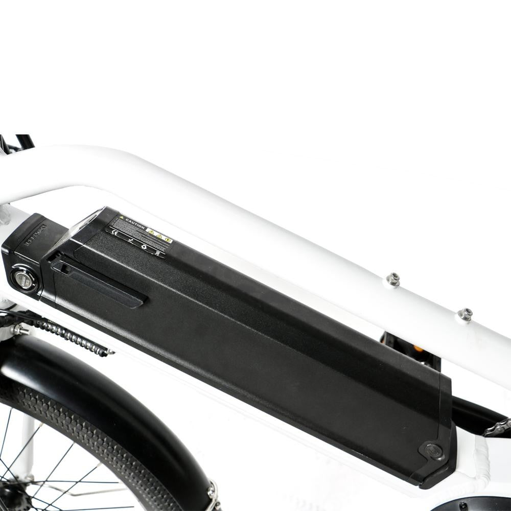 EUNORAU MAX-CARGO 750W/ 48V/ Cargo/ Commuter Electric Bike