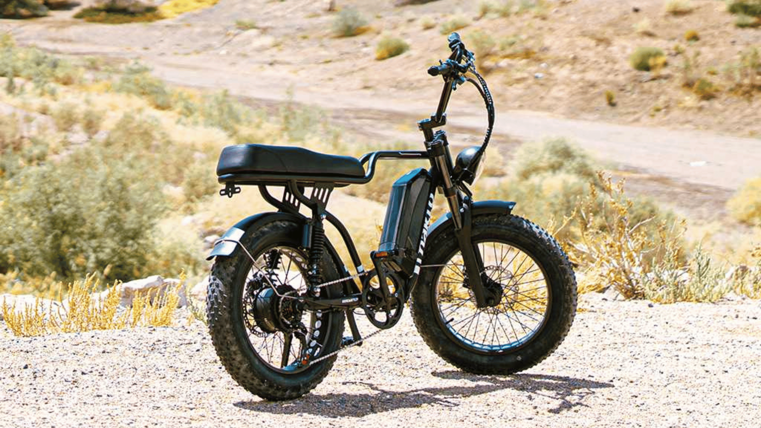 Nakto F2 Cruiser 750W 48V Electric Bike