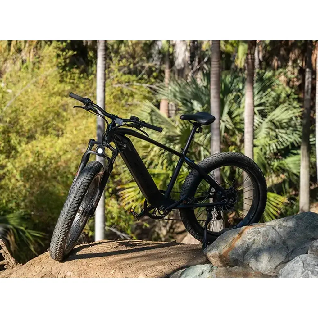 Velowave Ranger 750W 48V Fat Tire Electric Bike