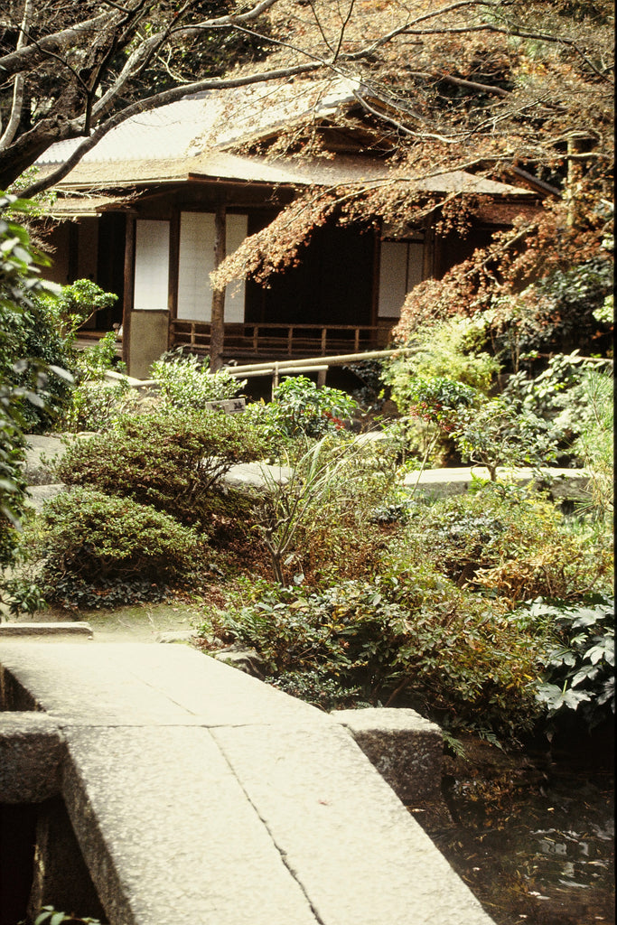 Tushita_Teehaus_Garten_Japan_Matcha