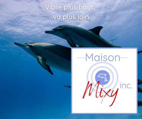 Maison Mixy logo