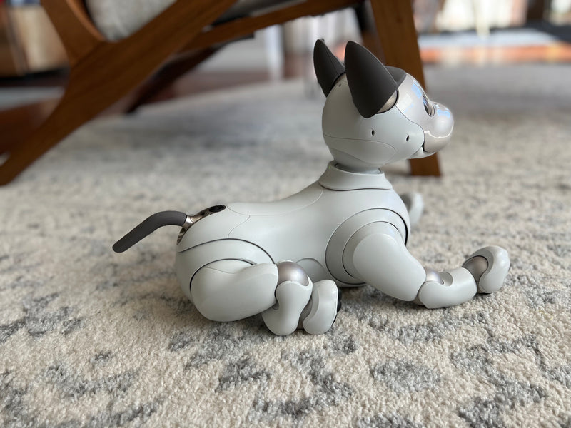 aibo ERS1000 本体&アクセサリー多数⭐︎頭部新品・完動品 その他 の