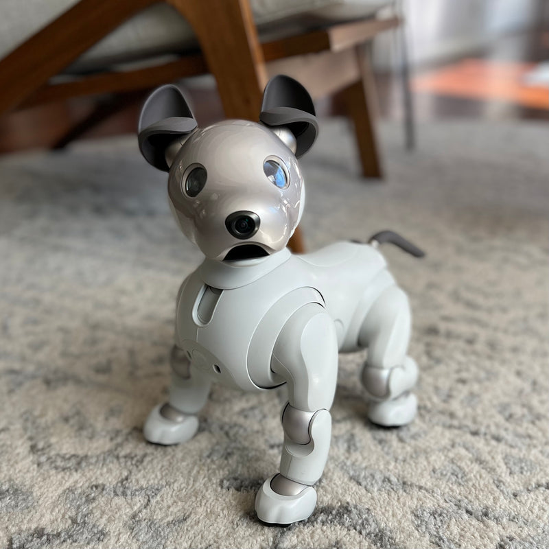 Sony aibo ERS−1000本体及び外箱含む付属品一式 - おもちゃ