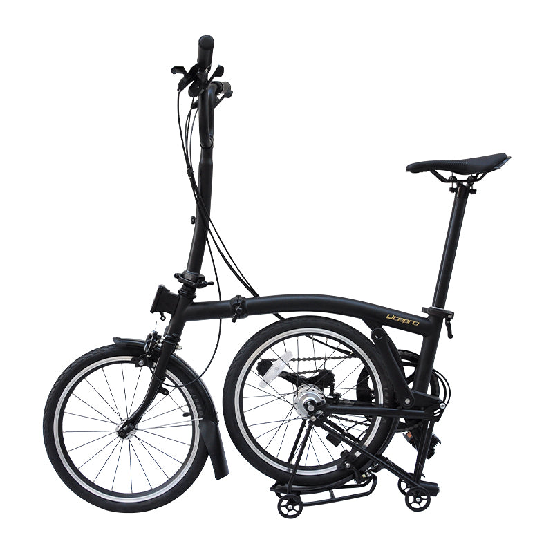 adult e trike