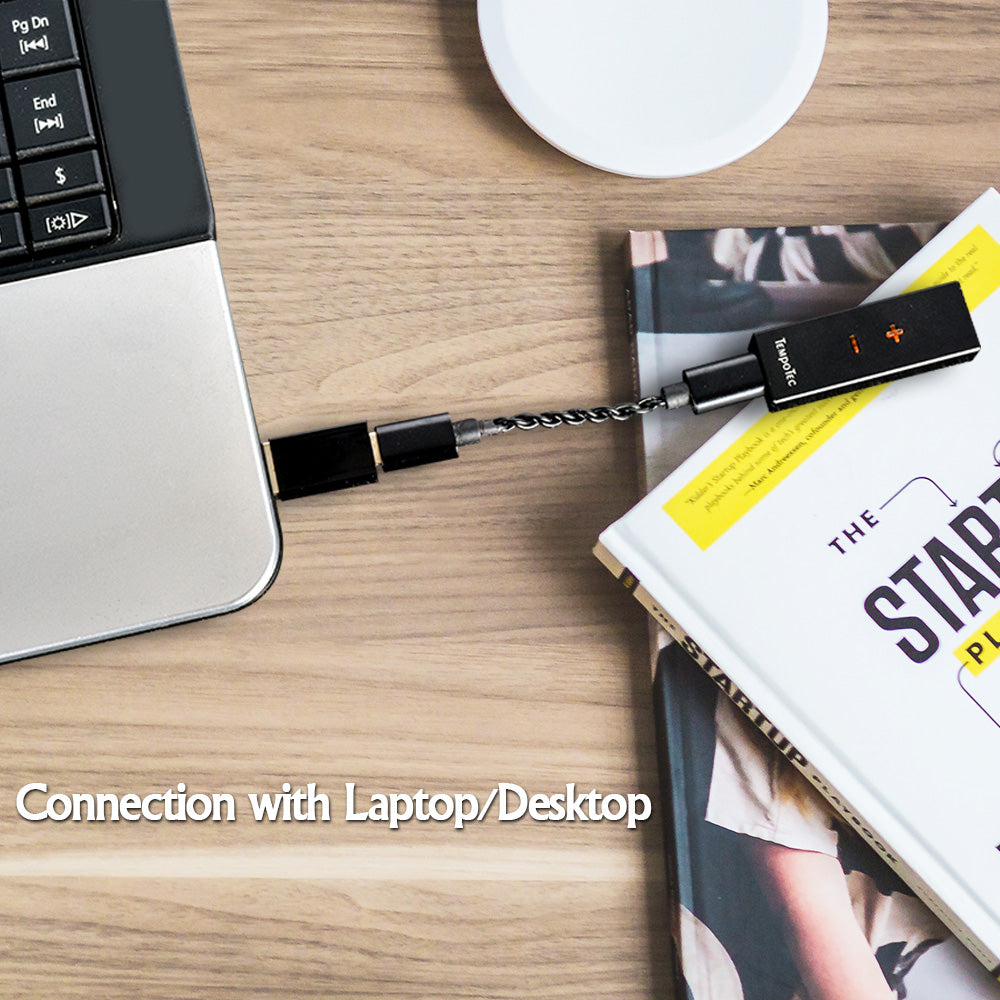 Connection with Laptop/Desktop