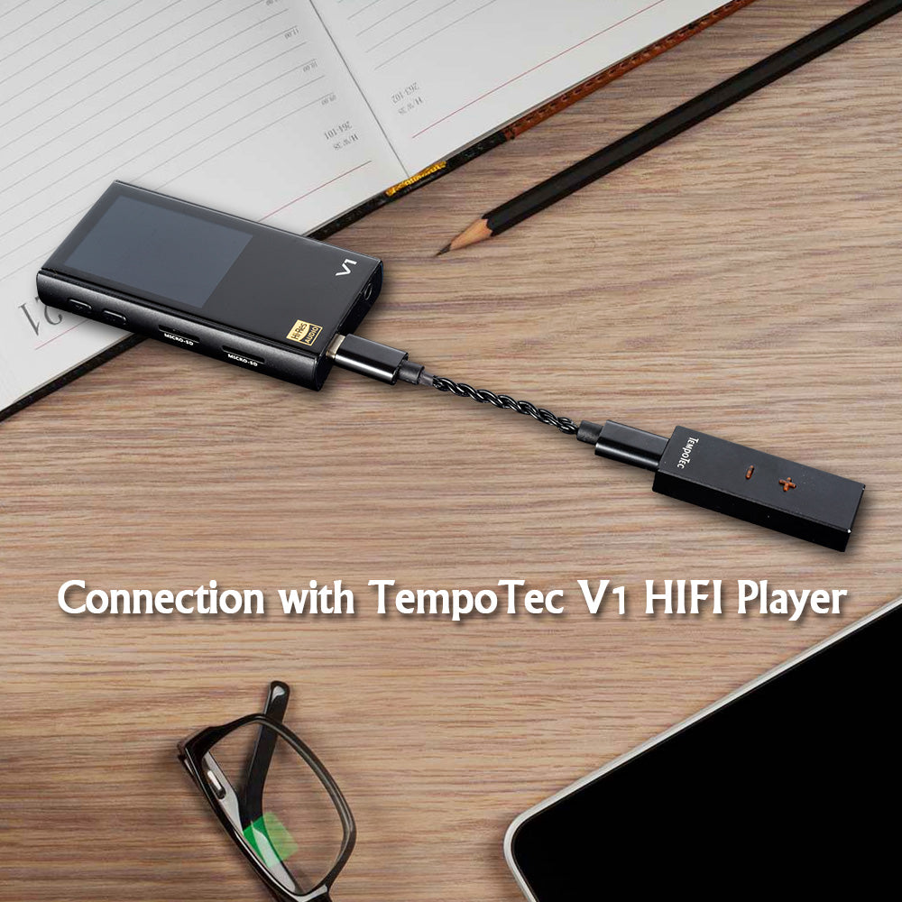 Connection with TempoTec V1 HIFI Player