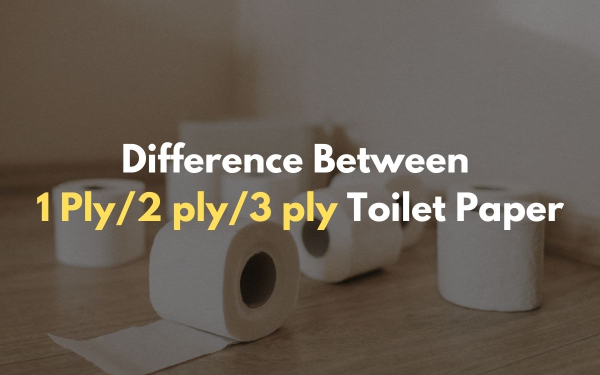 Difference Between 1 Ply 2ply 3ply Toilet Paper 2021 Guide Bog Rolls