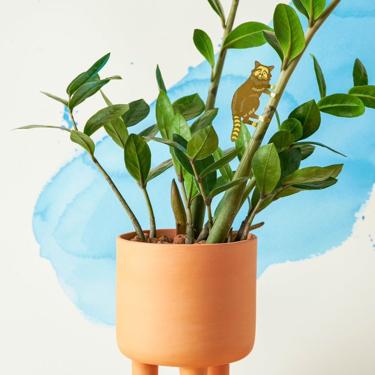 RACCOON - PLANT ANIMAL BY ANOTHER STUDIO – MARGHASA