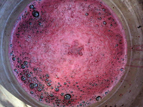 Pokeberry dye bath