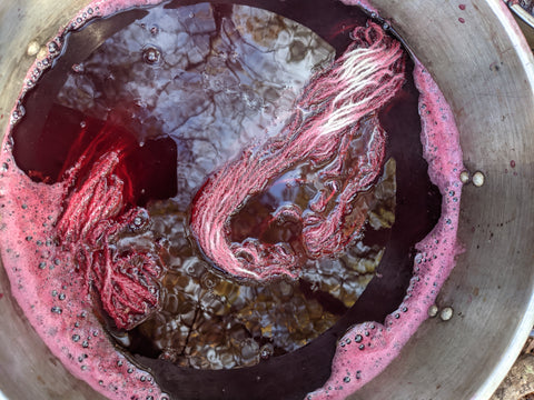 Yarn steaming in a pokeberry dye bath