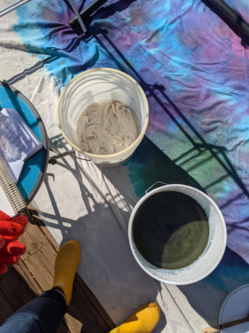 two 5-gallon buckets, one full of murkey greenish water, the other full of wet yarn.