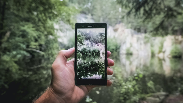 Close up of man's hand holding Sony camera open in lush green setting