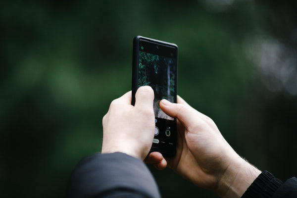 A Google Pixel 6 phone taking a photo of a forest area