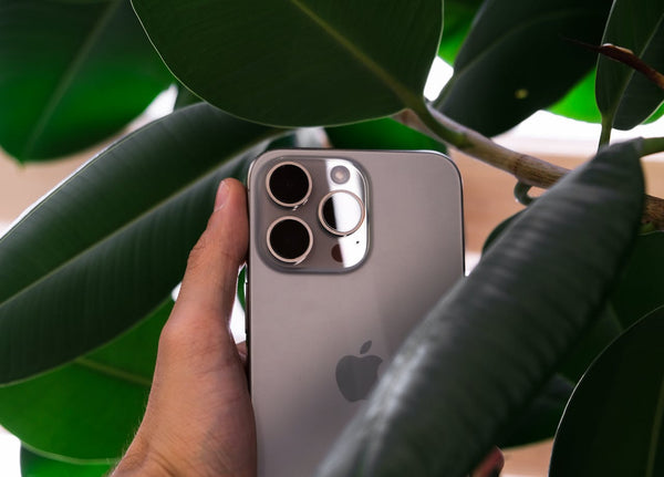 An iPhone 15 being held amongst leaves displaying the back of the phone.