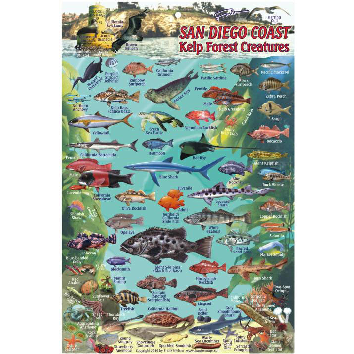 Franko Maps San Diego Coast Fish Id Card Scuba