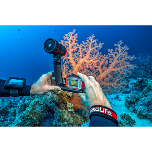 sealife reefmaster digital underwater camera