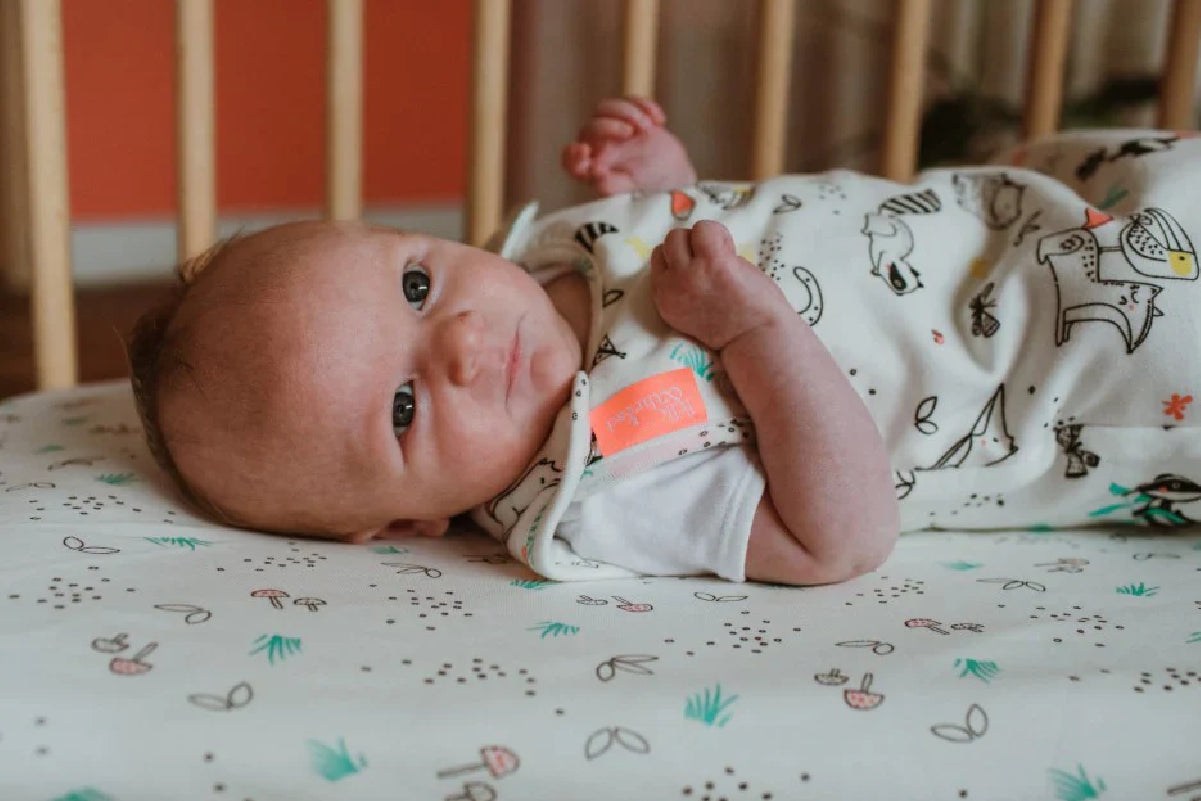 Newborn baby in bed