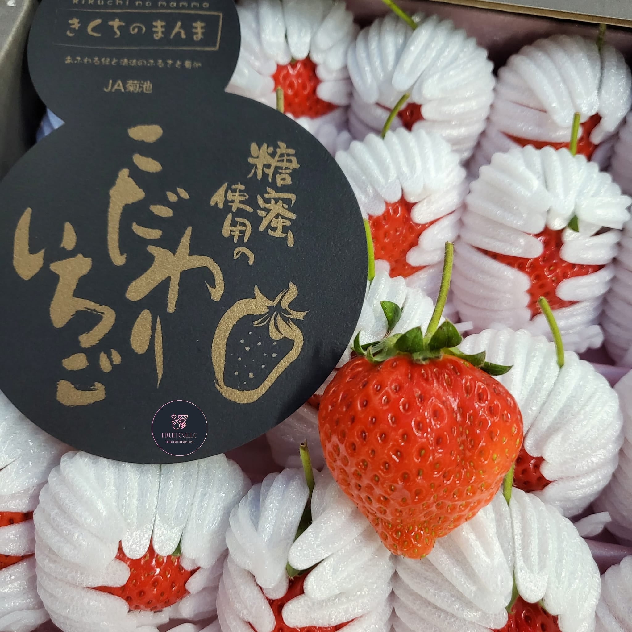 Japan Red Strawberry Yumenoka Ichigo 蜜糖草莓 ゆめのかいちご Fruitealle Pte Ltd
