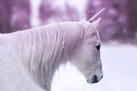 licorne blanche